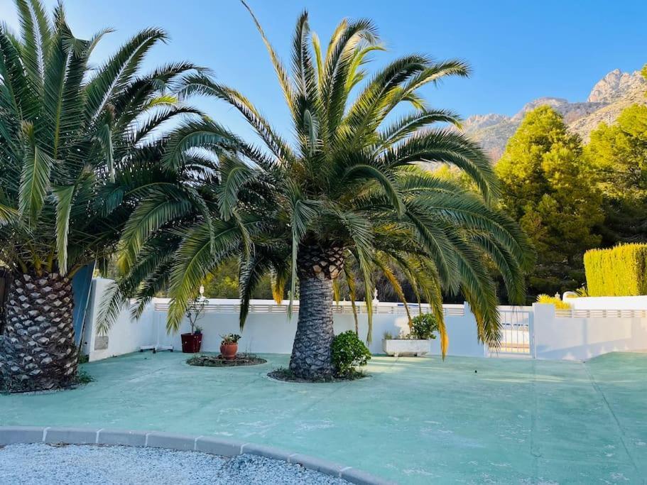 Peace And Nature Altea La Vella 알리칸테 외부 사진